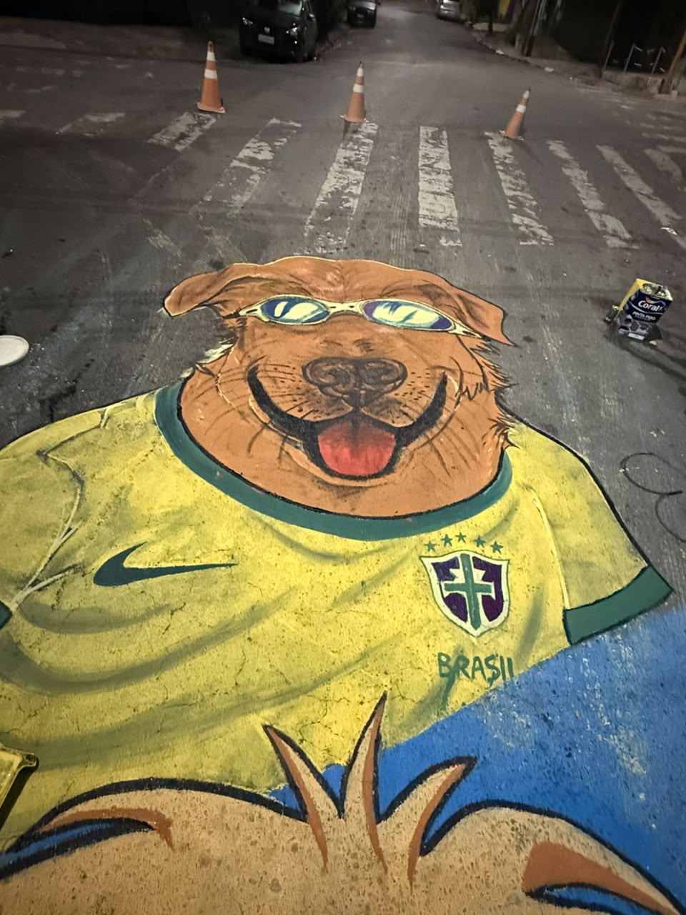 Um ira-lata camarelo de óculod espelhado e camis da seleção? Em São Mateus, na zona leste, temos! 