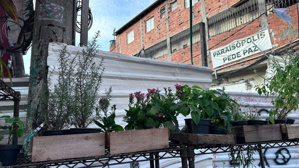 Espaço que o florista deixa as plantas usadas nas revitalizações das vielas